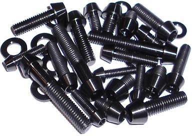 Black Titanium Bolts