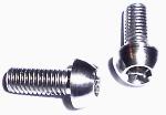 Titanium Water Bottle Bolts