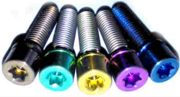 Titanium  Bolts Torx Socket